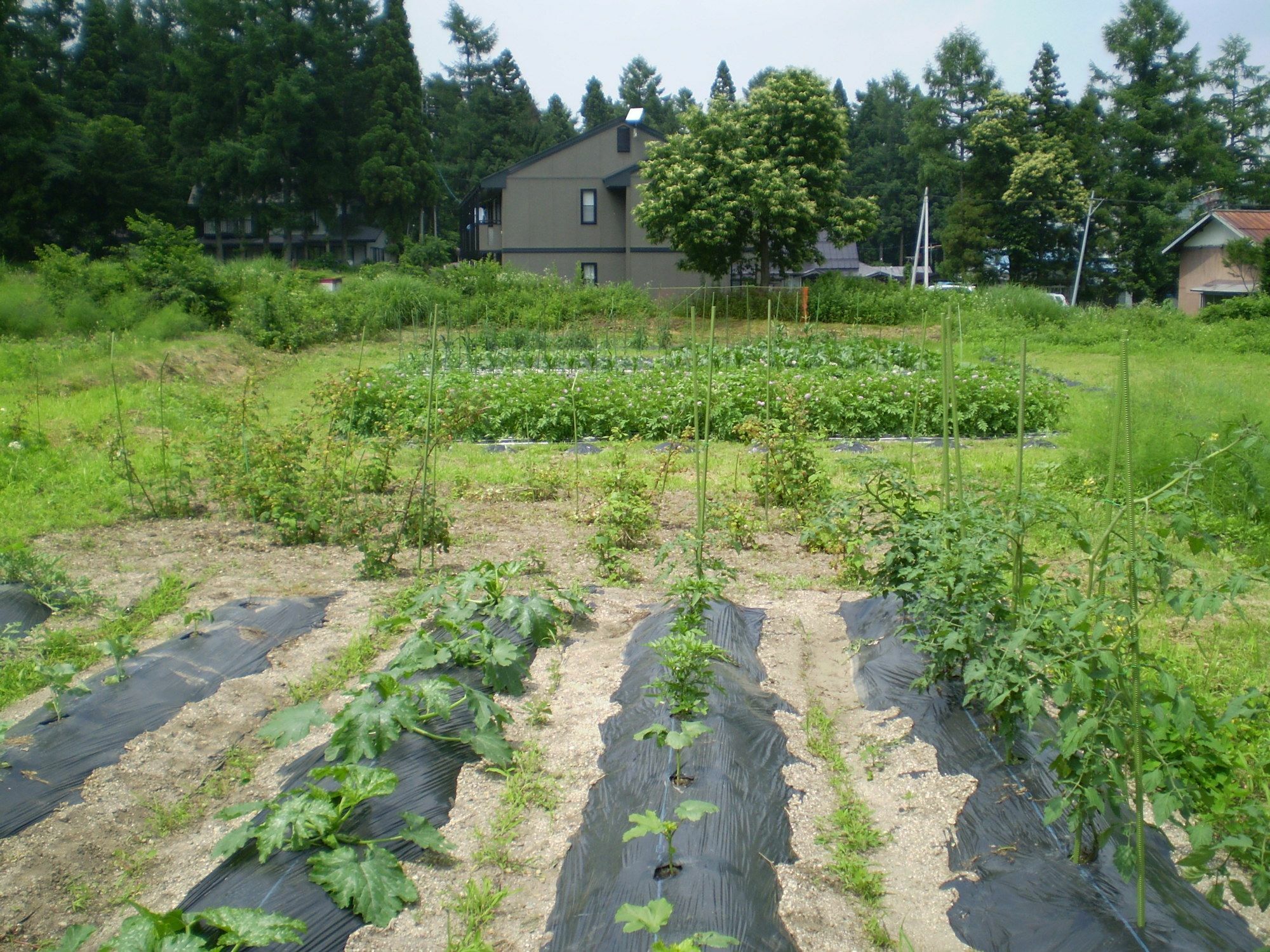 ペンション ちゃうちゃう Bed & Breakfast Hakuba Luaran gambar