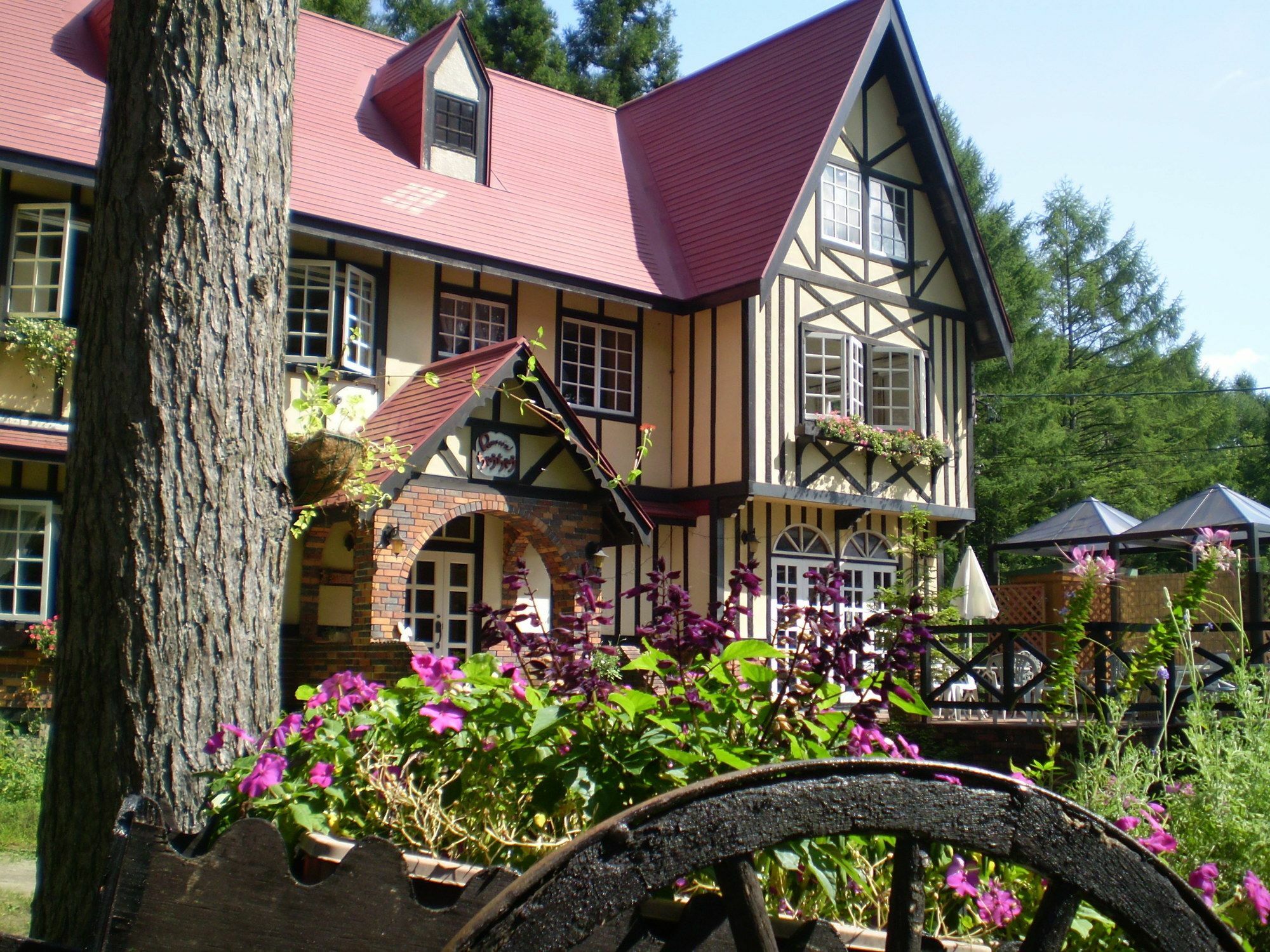ペンション ちゃうちゃう Bed & Breakfast Hakuba Luaran gambar