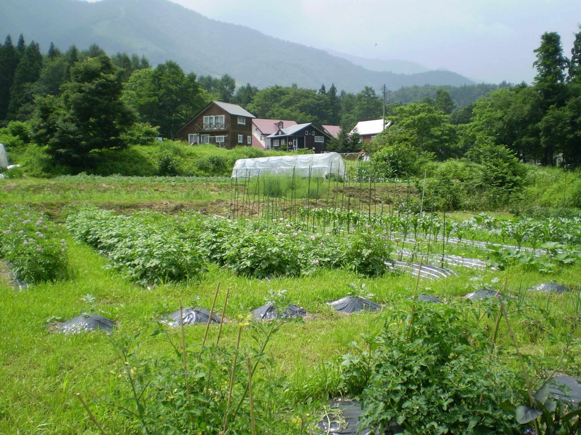 ペンション ちゃうちゃう Bed & Breakfast Hakuba Luaran gambar